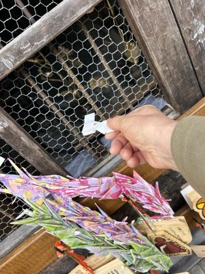 Zenkōji temple by null