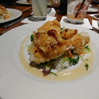 Burtons Grill & Bar - Yummy haddock - New American Near Me - Sterling, Virginia Burtons Grill & Bar - Yummy haddock - New American Near Me - Sterling, Virginia