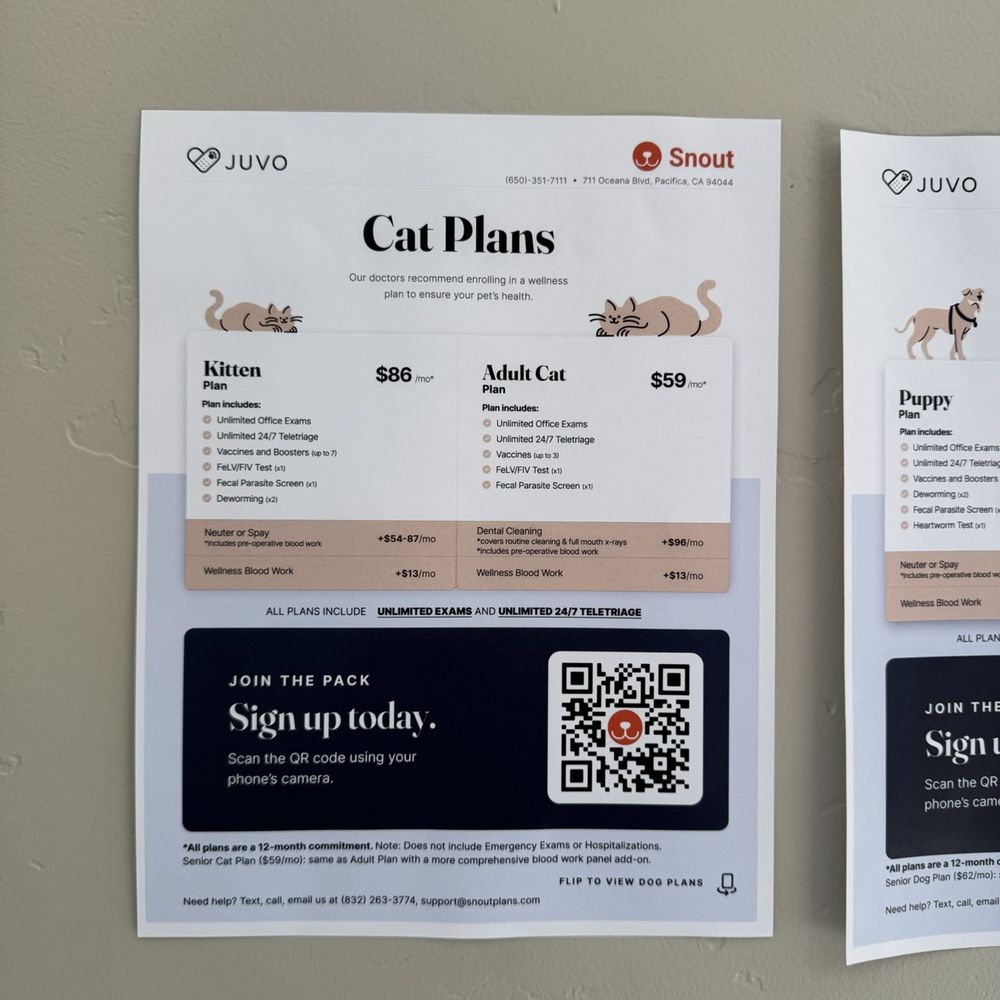 Payment plan options for cats Payment plan options for cats