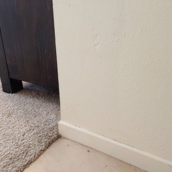 Restoration Solutions - This wall area was no longer wet after a leak once the adjacent carpet dried. - Damage Restoration Near Me - San Diego, California Restoration Solutions - This wall area was no longer wet after a leak once the adjacent carpet dried. - Damage Restoration Near Me - San Diego, California