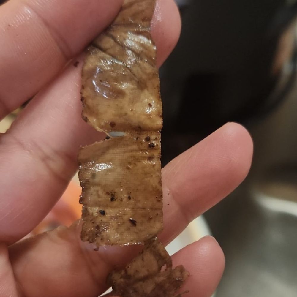 El Ranchero Del Sur - Object that looks like a bandaid found in tacos - Mexican Near Me - Sunnyvale, California