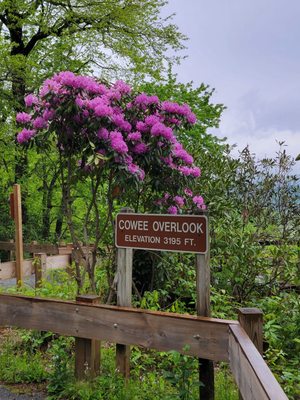 Black Rock Mountain State Park by null