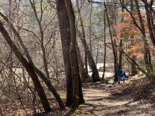 Sweetwater Creek State Park by null