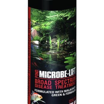 Aquatic Veterinary Services - Try this instead! - Veterinarians Near Me Aquatic Veterinary Services - Try this instead! - Veterinarians Near Me