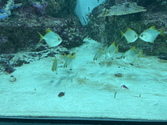 Otaru Aquarium by null