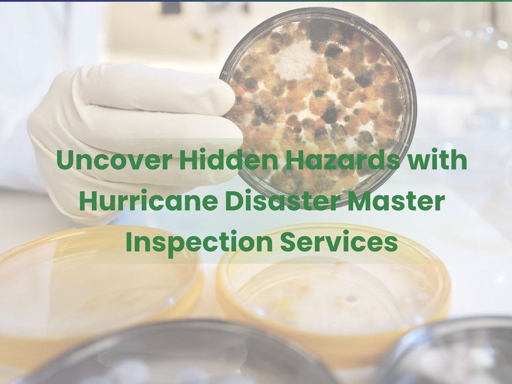 Hurricane Disaster Master's Mold & Air Quality - mold inspector in Estero, FL