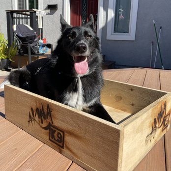 Akina K9 - Pet Training Near Me - Gilroy , California