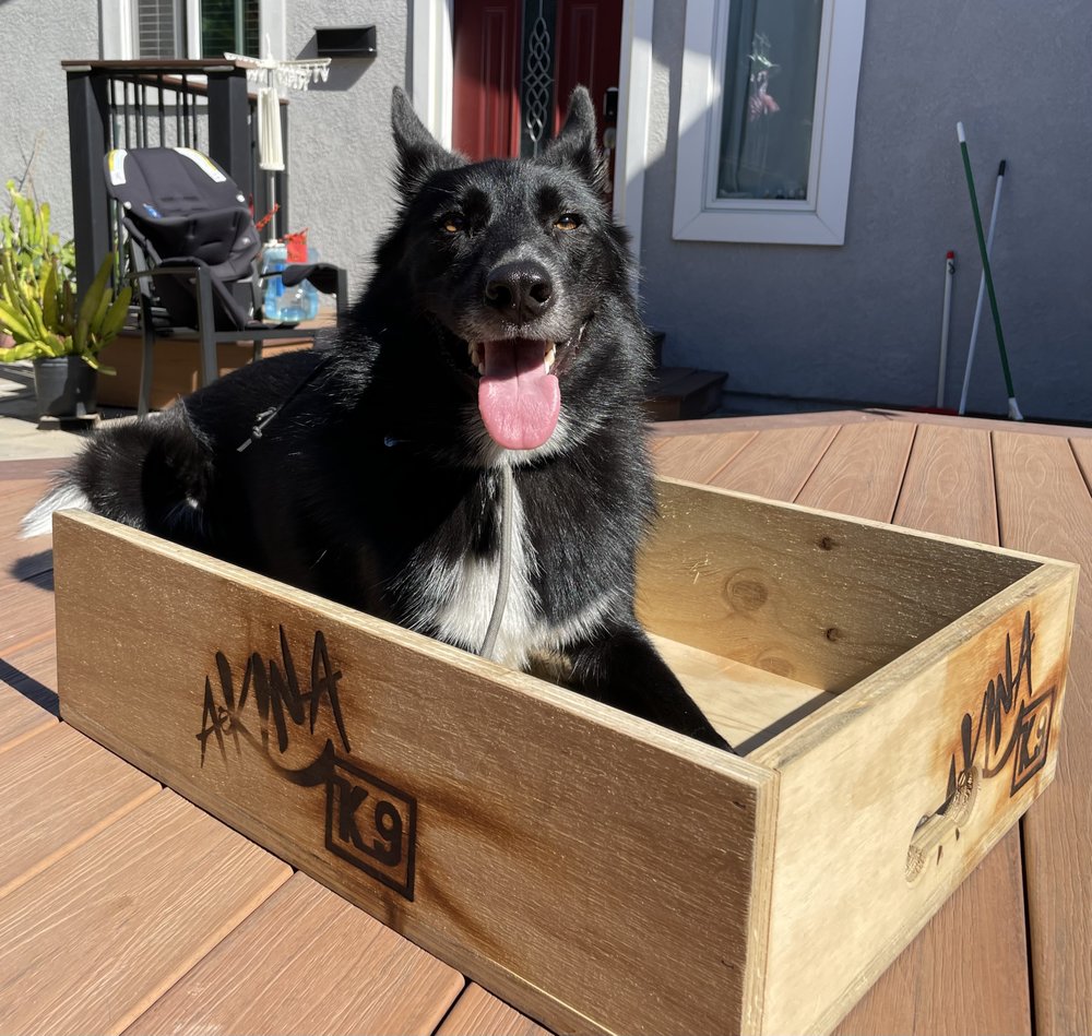 Akina K9 - Pet Training Near Me - Gilroy , California Akina K9 - Pet Training Near Me - Gilroy , California