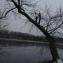 Photo of Kings Island Boat Launch