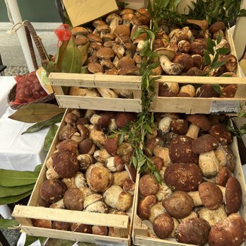Il Kaimano - fresh mushrooms on display - Italian Near Me - Milan, Michigan