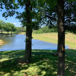 View of small pond at Kefi vineyard View of small pond at Kefi vineyard