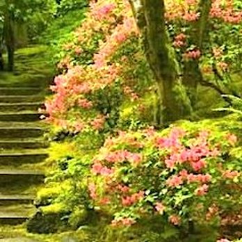 Washington Park - Parks Near Me - Portland, Oregon Washington Park - Parks Near Me - Portland, Oregon