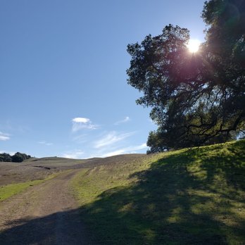 Tolay Lake Regional Park - Parks Near Me - Petaluma, California