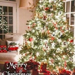 Cayucos Candy Counter - Merry Christmas from all of us at the Cayucos Candy Counter