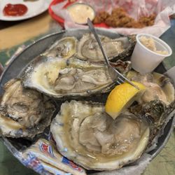 Oysters