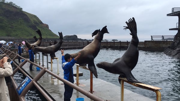 Otaru Aquarium by null