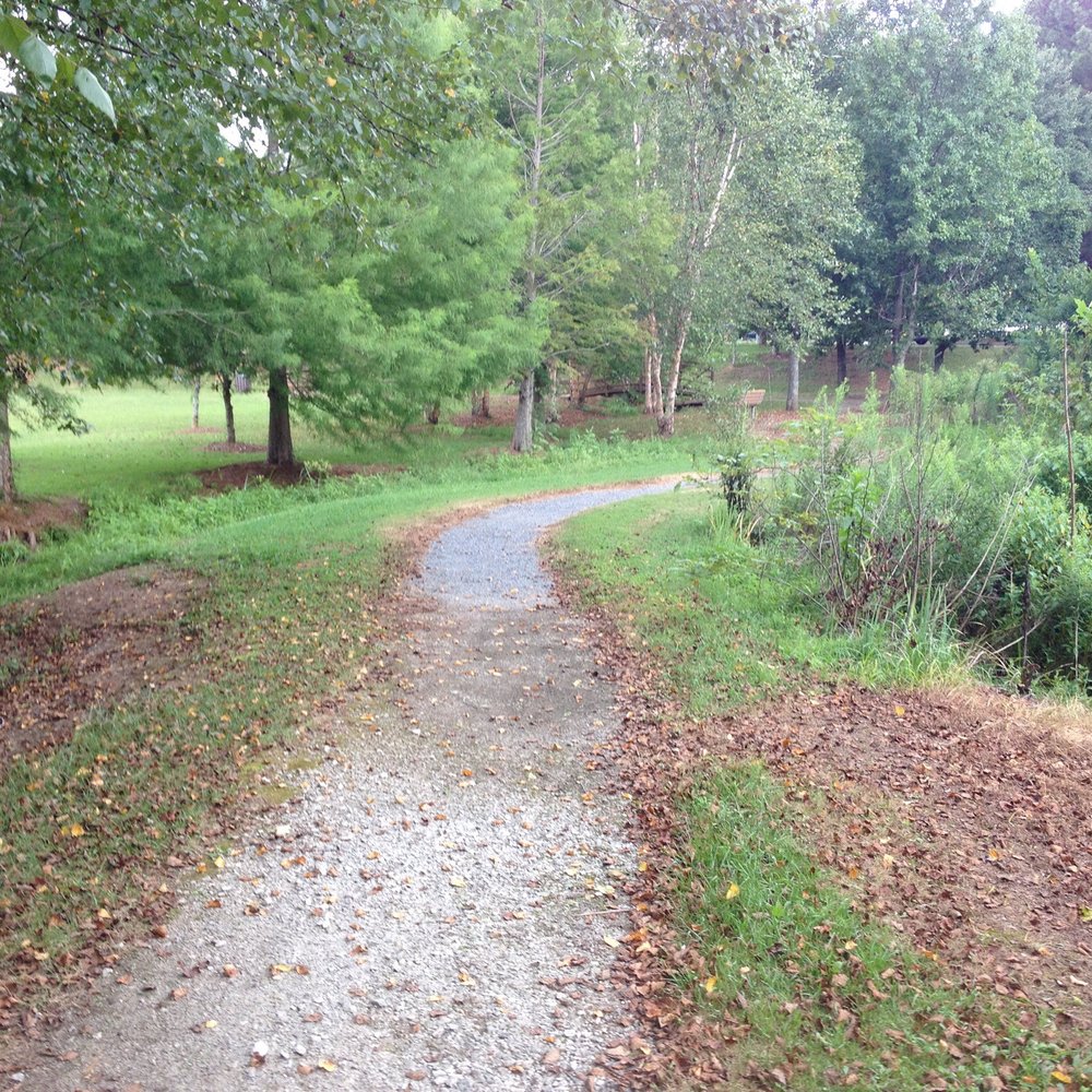 Collins Hill Park - Trail path near the park entrance - Parks Near Me - Lawrenceville, Georgia Collins Hill Park - Trail path near the park entrance - Parks Near Me - Lawrenceville, Georgia