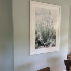 KH Art & Framing - Large frame of photograph/print, with glass to protect archival quality