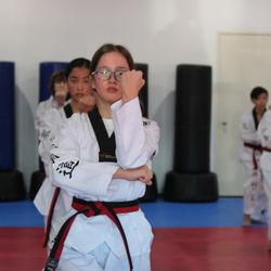 Mu Do Martial Arts - Poomse (Forms)
