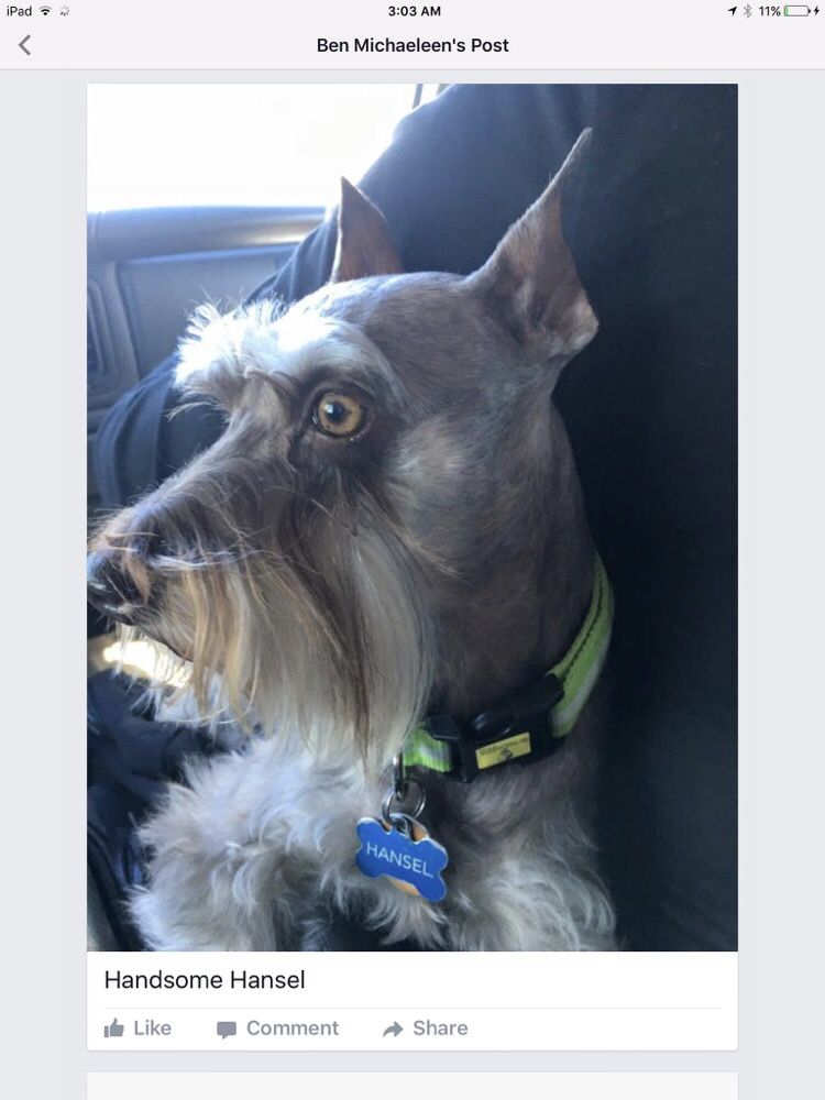 A BLOOMIN’ GROOMER Updated August 2024 15035 S Glen Oak Rd, Oregon City, Oregon Pet