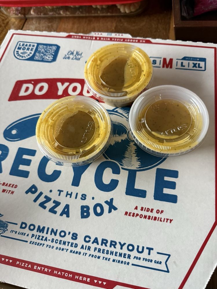 Domino's Pizza Logo