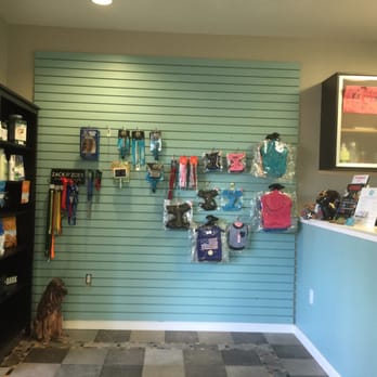 Rub-A-Dub Dog Bath - Pet Groomers Near Me - American Canyon, California Rub-A-Dub Dog Bath - Pet Groomers Near Me - American Canyon, California