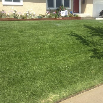 Hendy's Lawn Care - Gardeners Near Me - Torrance, California Hendy's Lawn Care - Gardeners Near Me - Torrance, California