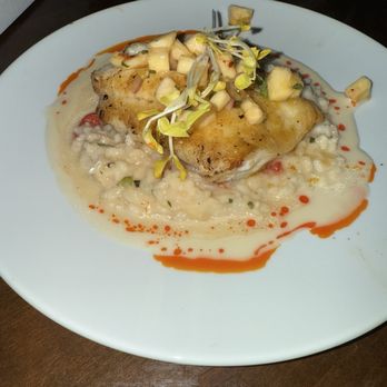 SeaGuini - Opal Sands Resort - Grouper - New American Near Me - Clearwater, Florida