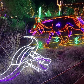River Of Lights - Coyote - Festivals Near Me - Albuquerque, New Mexico