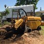 Photo of JBS Tree Care