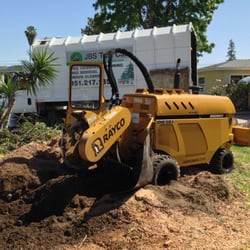 JBS Tree Care - Large stumps?? No problem for JBS Tree Care.