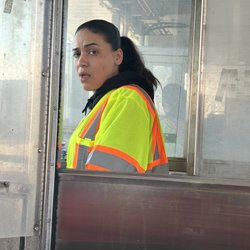 Chicago Skyway - Tollway employee who stole my credit card