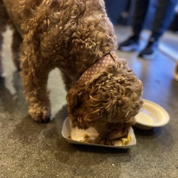 Papasotes - Pup approved - Tacos Near Me - San Diego, California