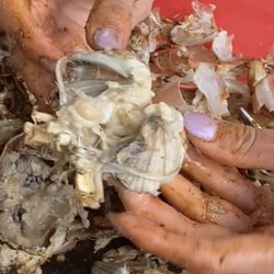 Potomac Seafood of Hagerstown - Mush!!