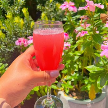Jo's as always - watermelon mimosa - Desserts Near Me - Pensacola, Florida Jo's as always - watermelon mimosa - Desserts Near Me - Pensacola, Florida