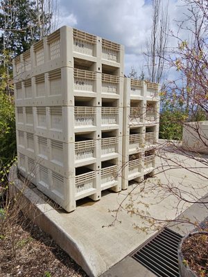 Furioso Vineyards by null