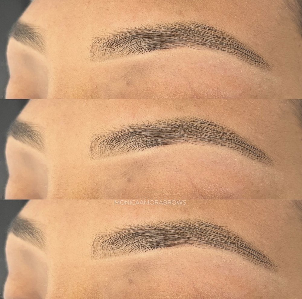 MONICA AMORA BROWS Logo
