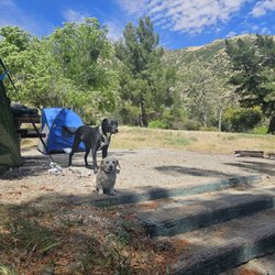 Lytle Creek Ranger Station - Site 12 and 13 in applewhite campgrounds