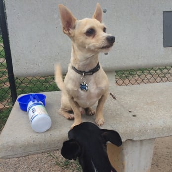 Paw Park - Dog Parks Near Me - Oklahoma City, Oklahoma Paw Park - Dog Parks Near Me - Oklahoma City, Oklahoma