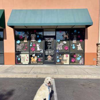 Paw Spa - Jasper, before and after his much needed summer cut! - Pet Groomers Near Me - Elk Grove, California Paw Spa - Jasper, before and after his much needed summer cut! - Pet Groomers Near Me - Elk Grove, California
