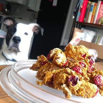 Joco Barking Club - Home made, all natural, and healthy treats by the dozen.
stores.jocobarkingclub.com - Pet Sitting Near Me - Overland Park, Kansas Joco Barking Club - Home made, all natural, and healthy treats by the dozen.
stores.jocobarkingclub.com - Pet Sitting Near Me - Overland Park, Kansas