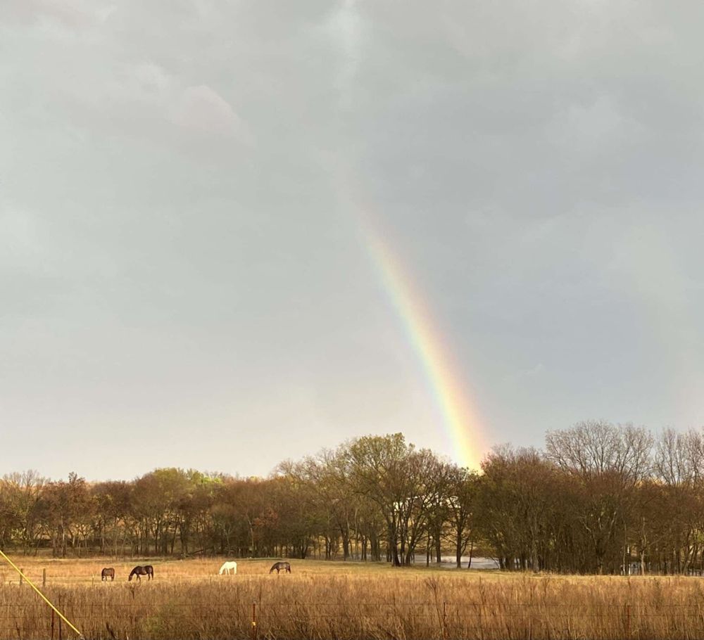 Graceful Acres - equestrian in Inola, OK