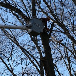 Turner Tree Service