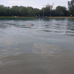 Brown Deer Pond