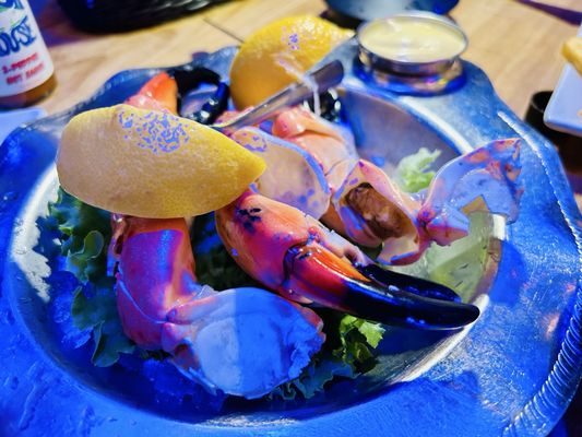 The Fish House by null