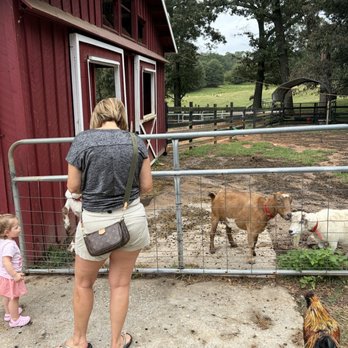 The Art Barn - Farm,animals, 18 yr old,barn etc - Kids Activities Near Me - Canton, Georgia The Art Barn - Farm,animals, 18 yr old,barn etc - Kids Activities Near Me - Canton, Georgia