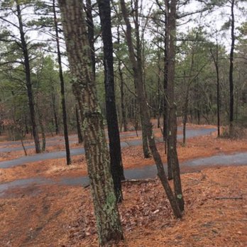 Blueberry Hill Trail - Hiking Near Me - Gibbsboro, New Jersey