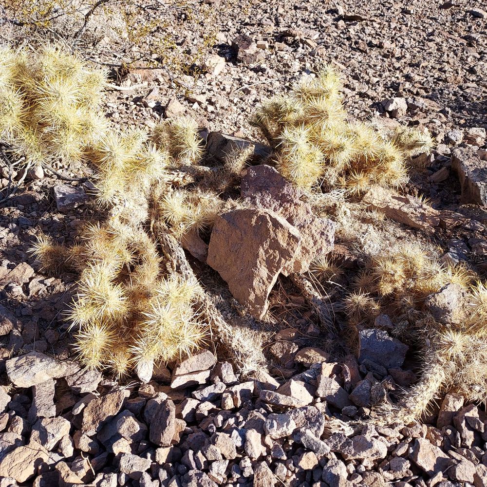 Hidden Falls Park - Parks Near Me - Henderson, Nevada Hidden Falls Park - Parks Near Me - Henderson, Nevada