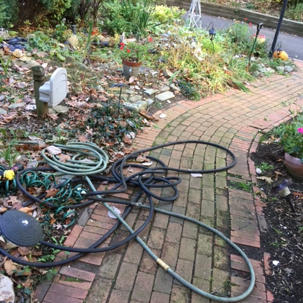 Ned Stevens Gutter Cleaning - This is after Ned Stevens comes to clean your gutters, Not good for kids on Halloween or walking in with Groceries to the house. - Gutter Services Near Me - Danbury, Connecticut Ned Stevens Gutter Cleaning - This is after Ned Stevens comes to clean your gutters, Not good for kids on Halloween or walking in with Groceries to the house. - Gutter Services Near Me - Danbury, Connecticut