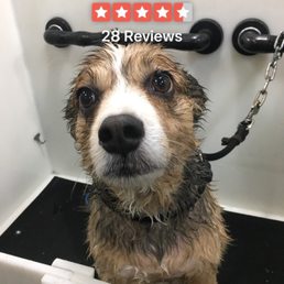Brodi, very happy customer